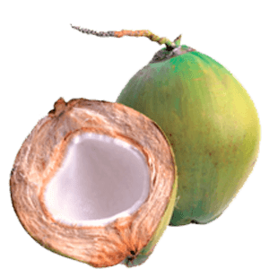 COCO VERDE